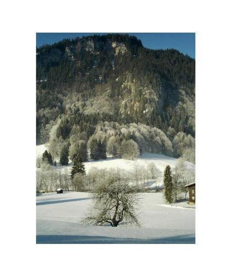 Falkenstein-Wohnung-4-Haus-B Oberstdorf Exteriér fotografie